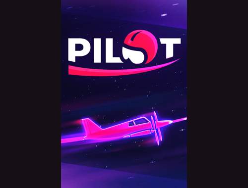 Pilot – Motiv des Entwicklers